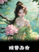 《顺势而为》洛千淮洛萧章节目录