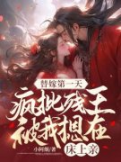 《云昭月沈北晏》小说章节目录在