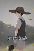 《梦野安静》全文阅读 陆思沅顾麟