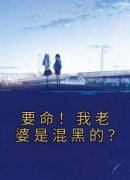 要命！我老婆是混黑的？免费阅读