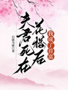 柔敏杨烨夫君死在花楼后，我成了