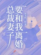 好书推荐《萧盛童瑶》总裁妻子要