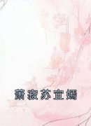 [萧寂苏宜嫣]萧寂苏宜嫣小说全文章