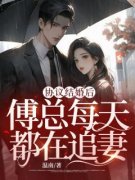 《江南栀傅靳迟》小说全文在线阅
