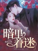 暗里着迷全文免费阅读(姜瑜沈裴之