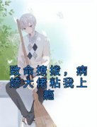 《江遇时洛》小说全集免费在线阅