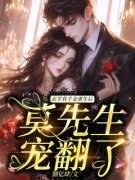 苏南星莫迁全文阅读 莫总，夫人行
