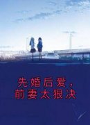《林乐乐黎阳》小说大结局精彩试