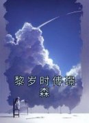 《黎岁时傅璟森》小说章节免费阅