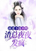 前妻下落不明，渣总夜夜发疯小说
