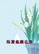 《陆凝悠顾北淮》大结局在线阅读