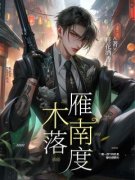 《木落雁南度》免费阅读 沐南林睦