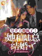 《分手了，他疯了！她和陆总结婚