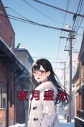 【都市爽文】夜月盛光孟橙傅景钰