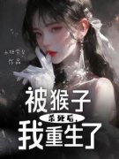 《星星嫂子》小说章节列表在线阅