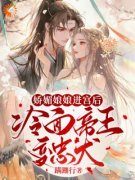 最新《娇媚娘娘进宫后，冷面帝王