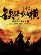 三国之铁骑纵横我的伤心谁做主 三