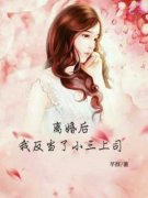 离婚后我反当小三上司白清妍周承