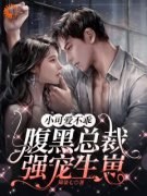 《苏恒沈竟舟》小说全文精彩试读
