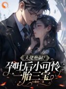《大佬绝嗣？孕吐后小可怜一胎三
