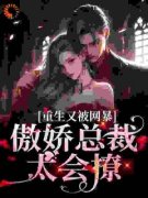 [宋思瑜梁致远]豪门：傲娇总裁太会