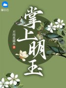 《掌上明玉》李明玉谢清宴精彩章