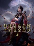 替嫁进宫后我才发现全是阴谋佚名