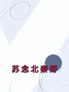 《苏念北秦野》大结局免费试读 《