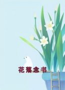 《连雾陆西野》小说全文精彩试读