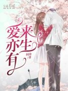 《爱亦有来生》小说免费阅读 乔薇