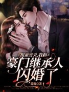夏安楚泽小说 相亲当天，我和豪门