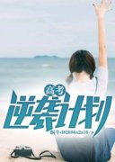 《高考逆袭计划》小说全文免费试