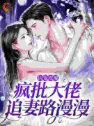 《沈洛兮陆时予》小说章节免费试