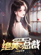 《分手后，闪婚绝美女总裁》完结