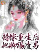 错嫁重生后，她脚踢渣男陆锦华沈