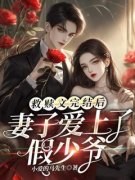 新书《林子恒徐晓婉》小说全集阅
