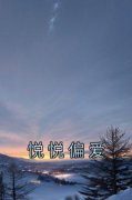 《悦悦偏爱》小说章节目录精彩试