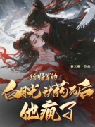 《洛芷柔沈枫》朝中人都说沈大将
