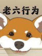 《说好单身四年，你却跟校花恋爱