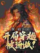 《沈南飞沈北归》小说免费阅读 我