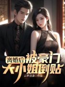 离婚后，被豪门大小姐倒贴叶尘韩