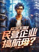 《大国工业：你一个民营企业搞航