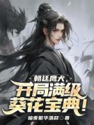 《李云尘赵敏》朝廷鹰犬，开局满
