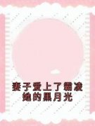 《妻子爱上了霸凌她的黑月光》完