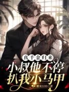 《沈知意傅砚辞》小说全文免费试