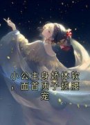 《小公主身娇体软，面首质子揽腰