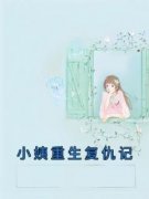 《小姨重生复仇记》小说全文精彩