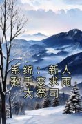 《江述杨若薇》系统：新人歌手变