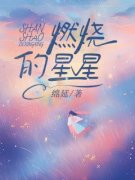 陈星沈燃厉源小说 燃烧的星星小说