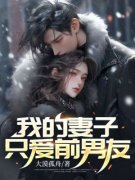 我的妻子只爱前男友免费阅读(段嘉